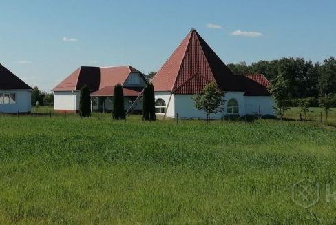 Готовый бизнес в Могилевском районе