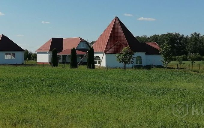 Готовый бизнес в Могилевском районе