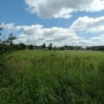 Участок в Могилевском районе