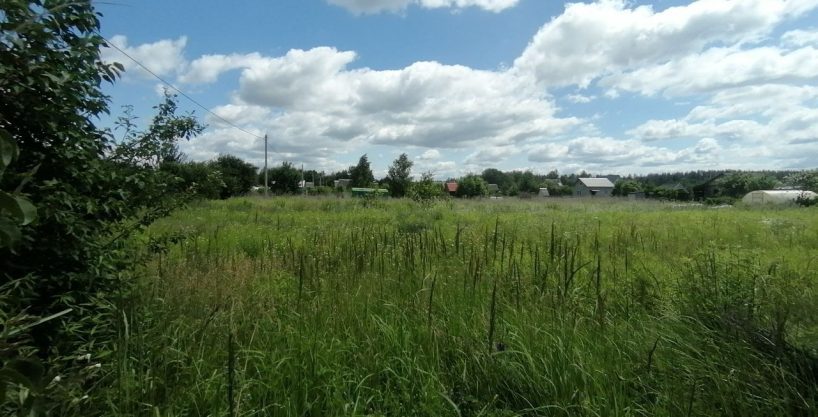 Участок в Могилевском районе